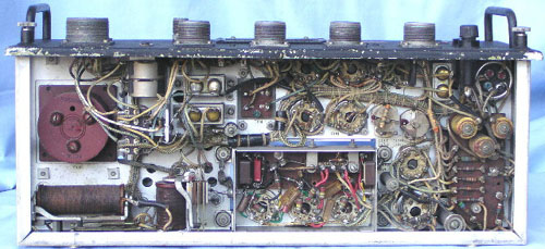 APN1 bottom view
